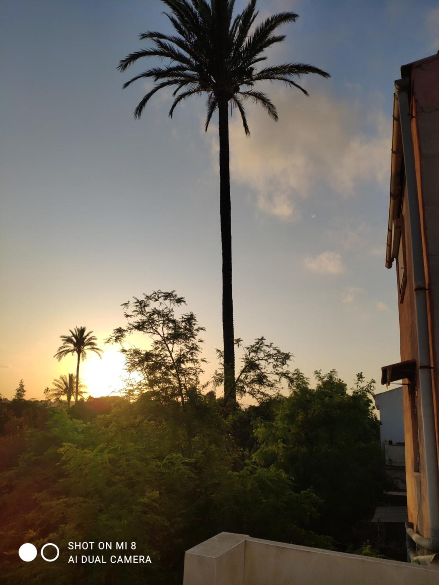 Apartamento En Alicante La Casa Azul Santa Faz Buitenkant foto